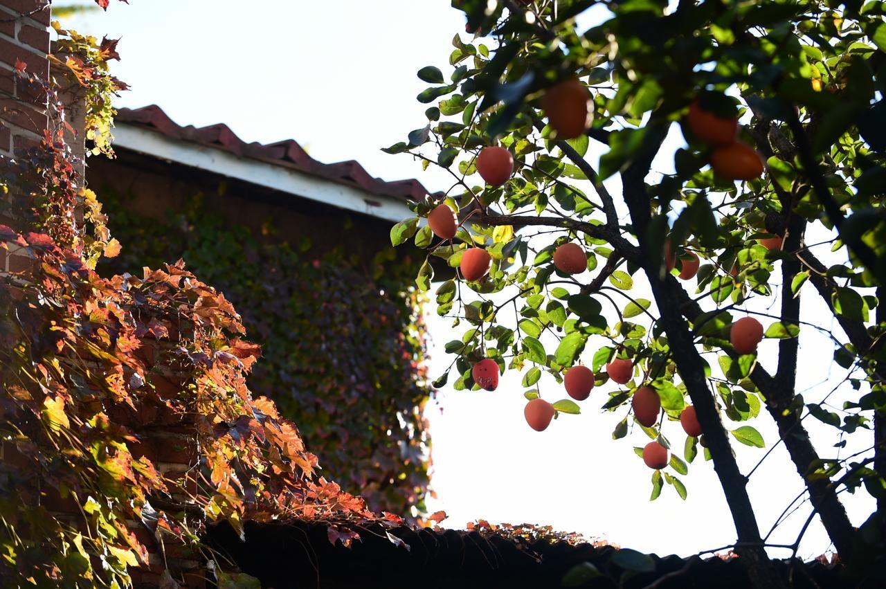 Photo Park Guesthouse Seúl Exterior foto